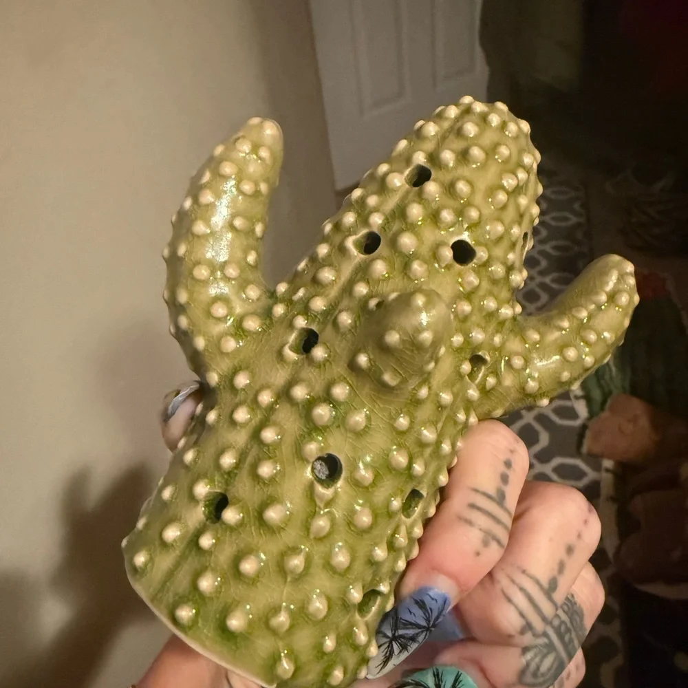 Green Cactus smelly good for house